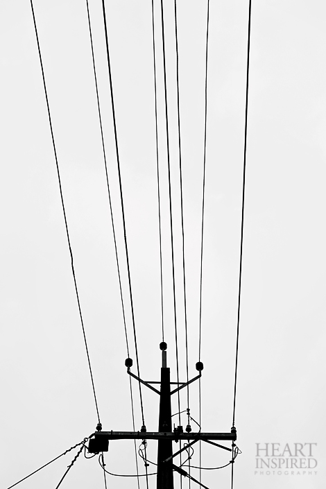 0G3C2179-pp-crop-web
